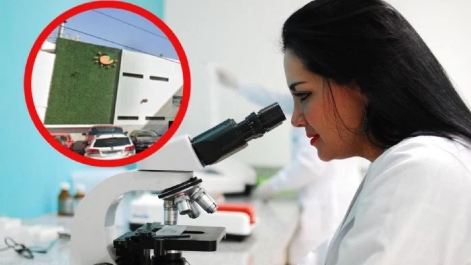 Microscopio Proceso