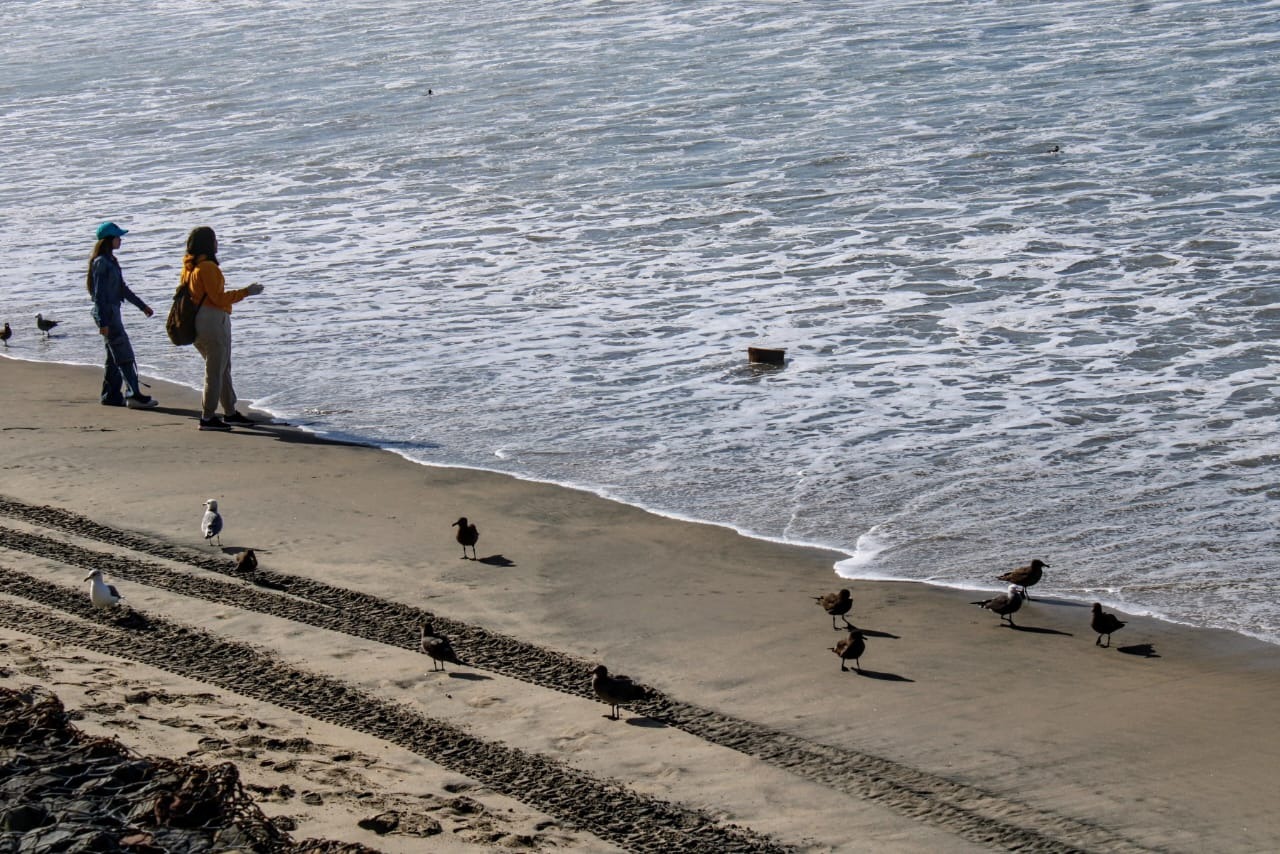 Salvemos la playa tijuana -