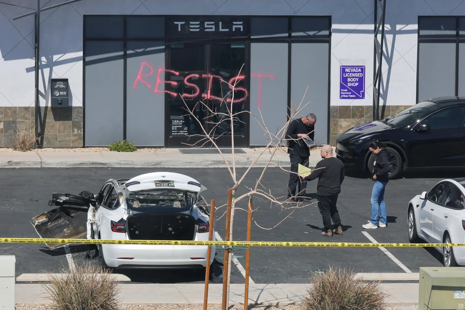 tesla el salvador