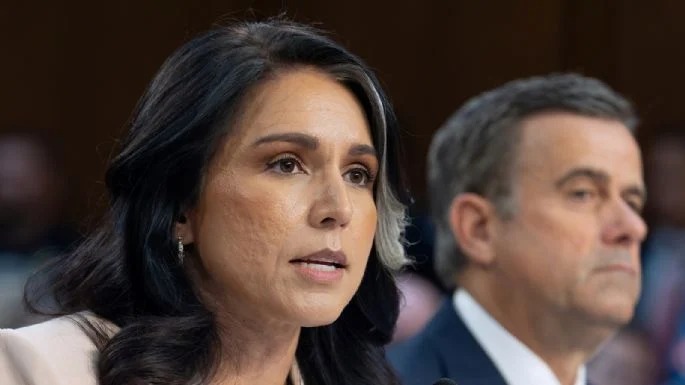 Tulsi gabbard - Proceso