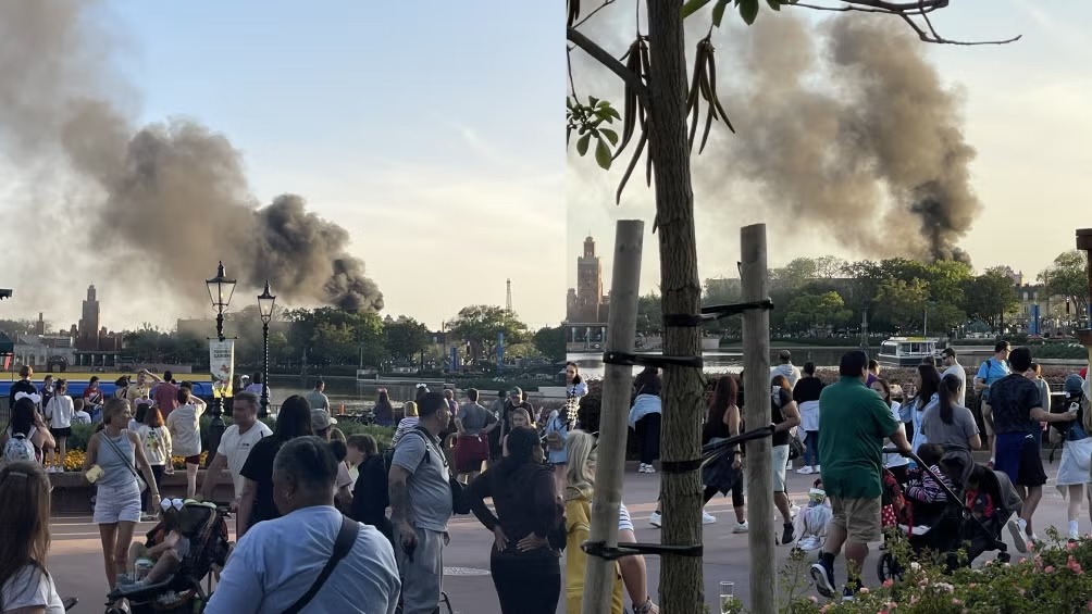 Walt Disney World - Record