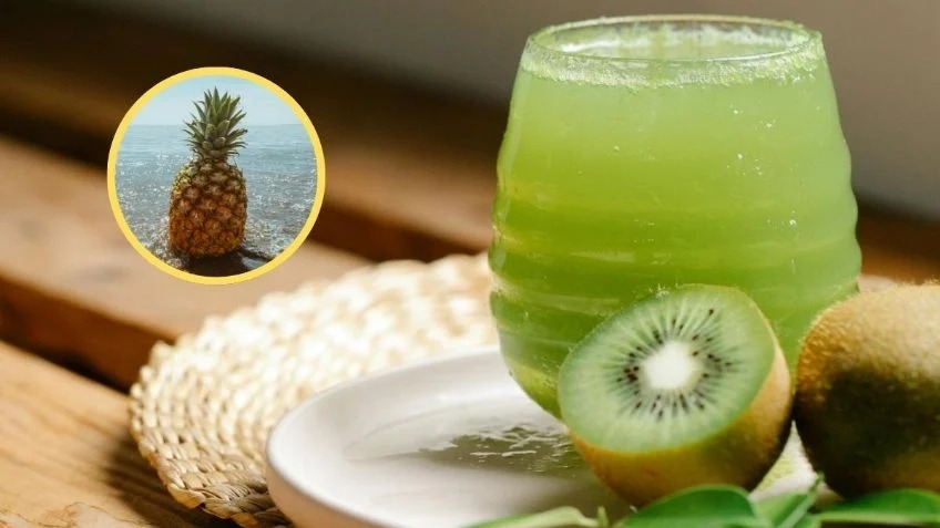 Zumo kiwi gastrolabweb