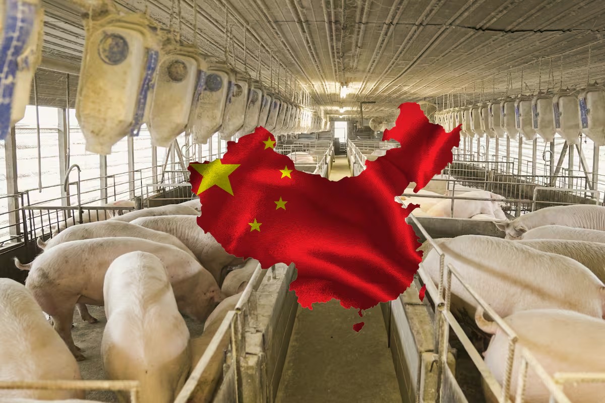 China - El Imparcial
