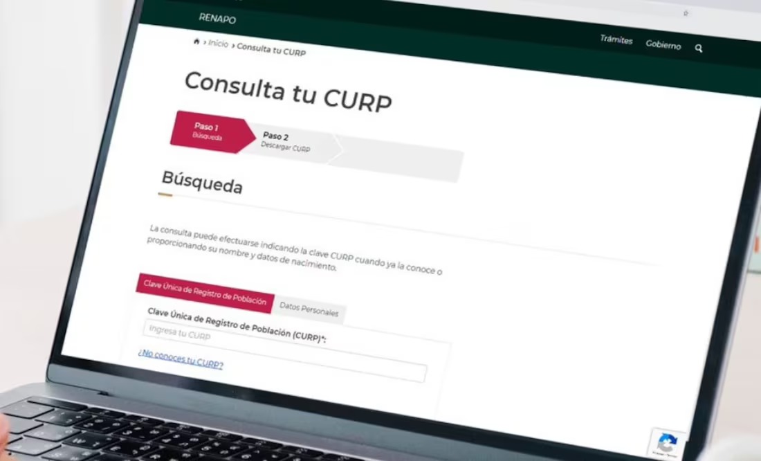 Curp - El Universal