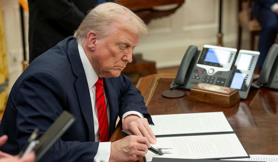 D Trump