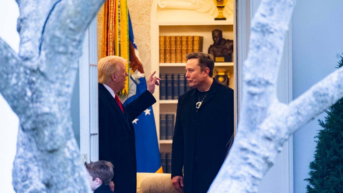 Elon Donald - Perplexity