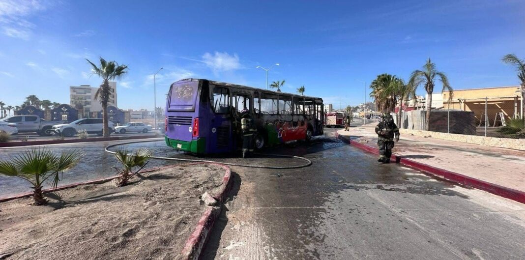 Violencia cabos zetatijuana