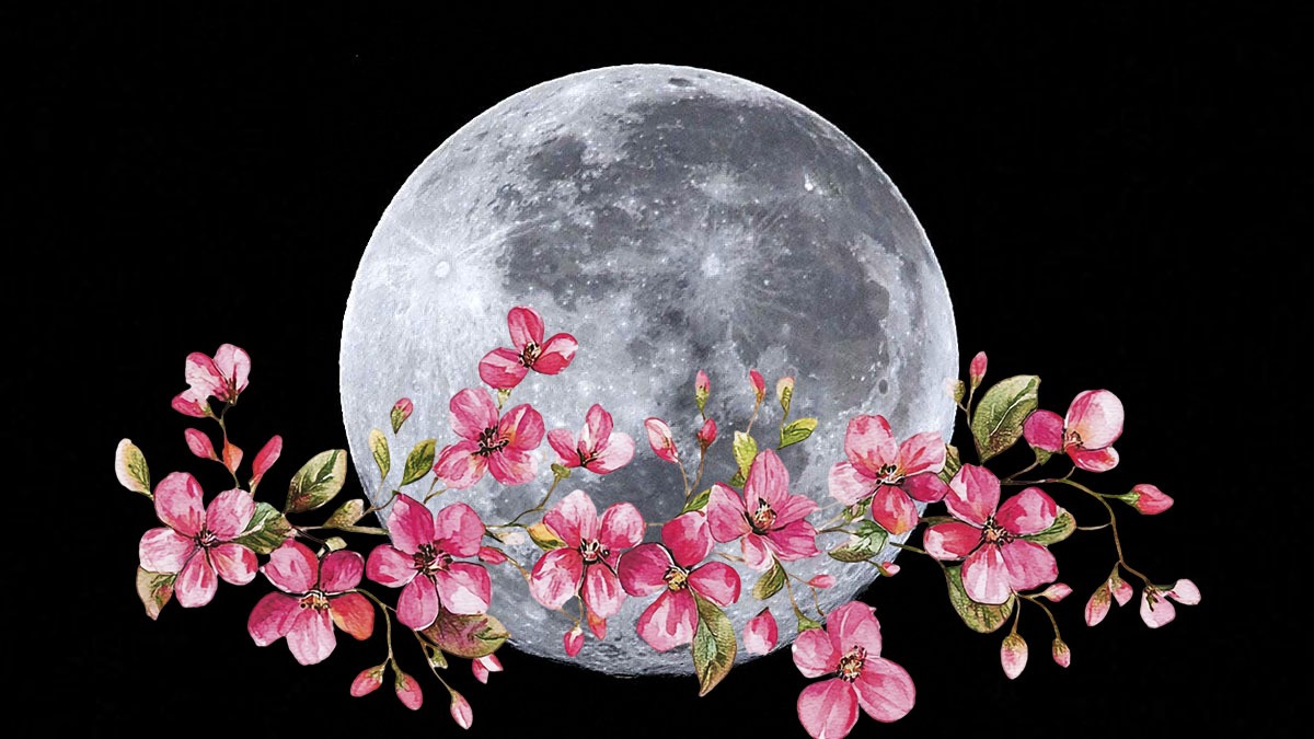 Luna de Flores - UnotV