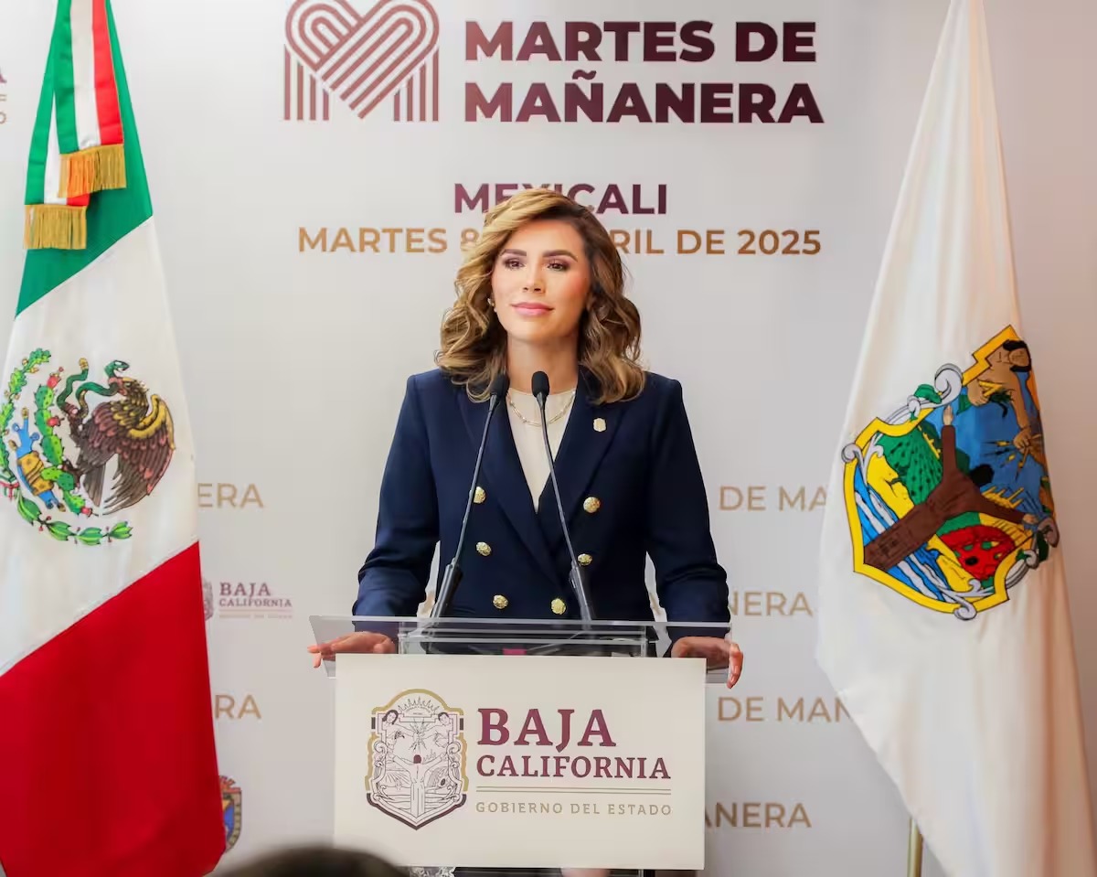 Marinad el pilar Político