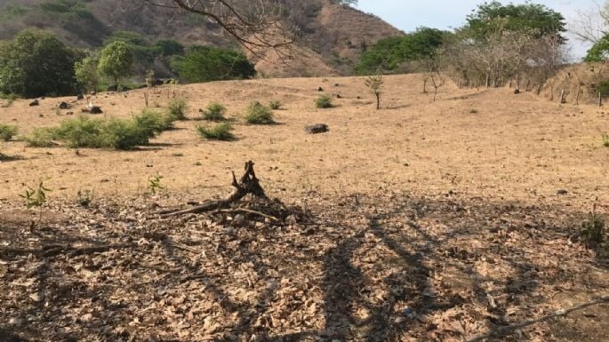 Tierra caliente Proceso