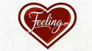 Feeling.Mx Logo IA