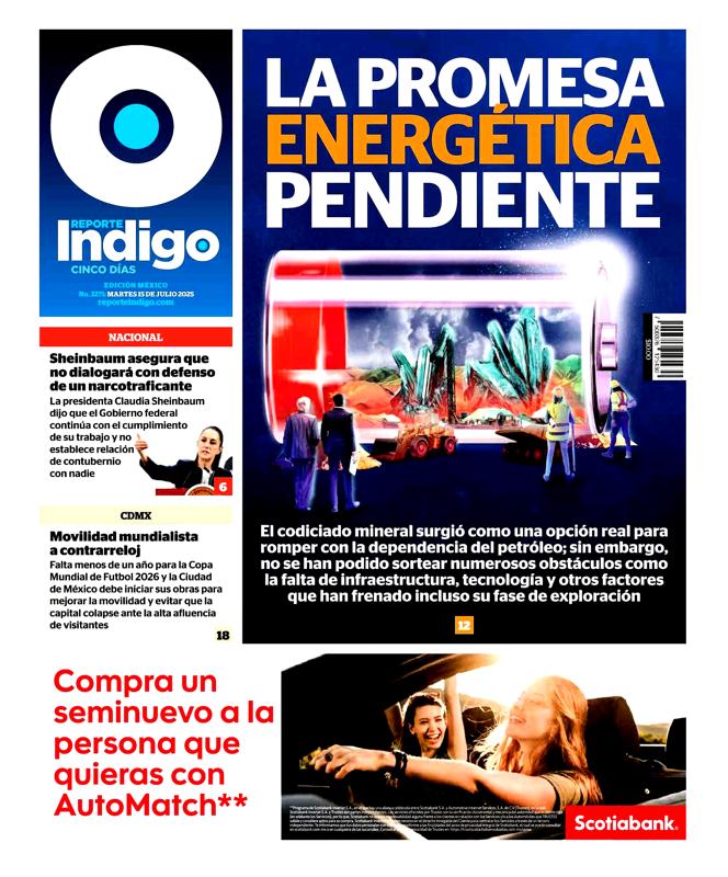 Reporte índigo