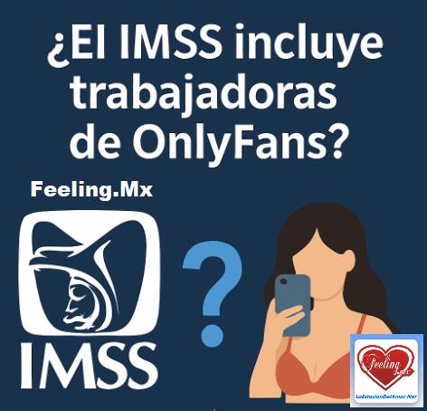 El Instituto Mexicano del Seguro Social (IMSS) incorporó de manera obligatoria a quienes trabajan para plataformas digitales (como Uber, DiDi, Rappi, etc.)
