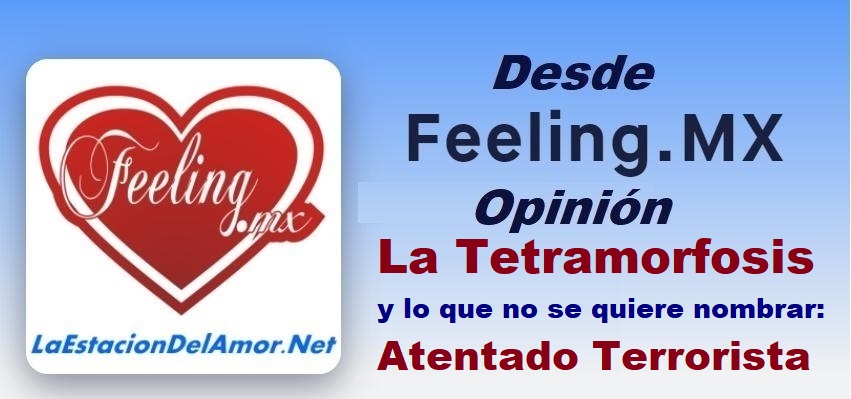 La Tetramorfosis y lo que no se quiere nombrar - desde-feelingmx-opinion