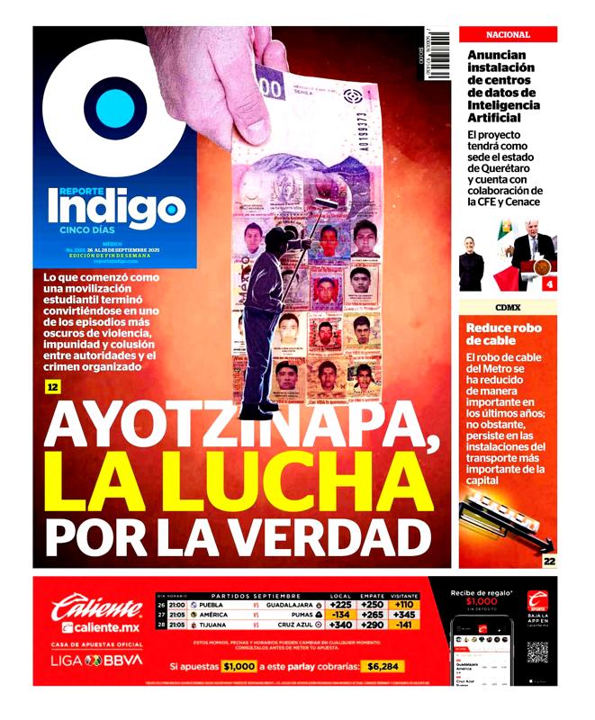 Reporte índigo