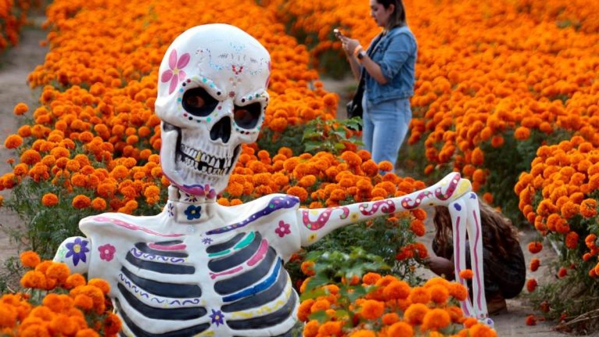 Concanaco calaveras