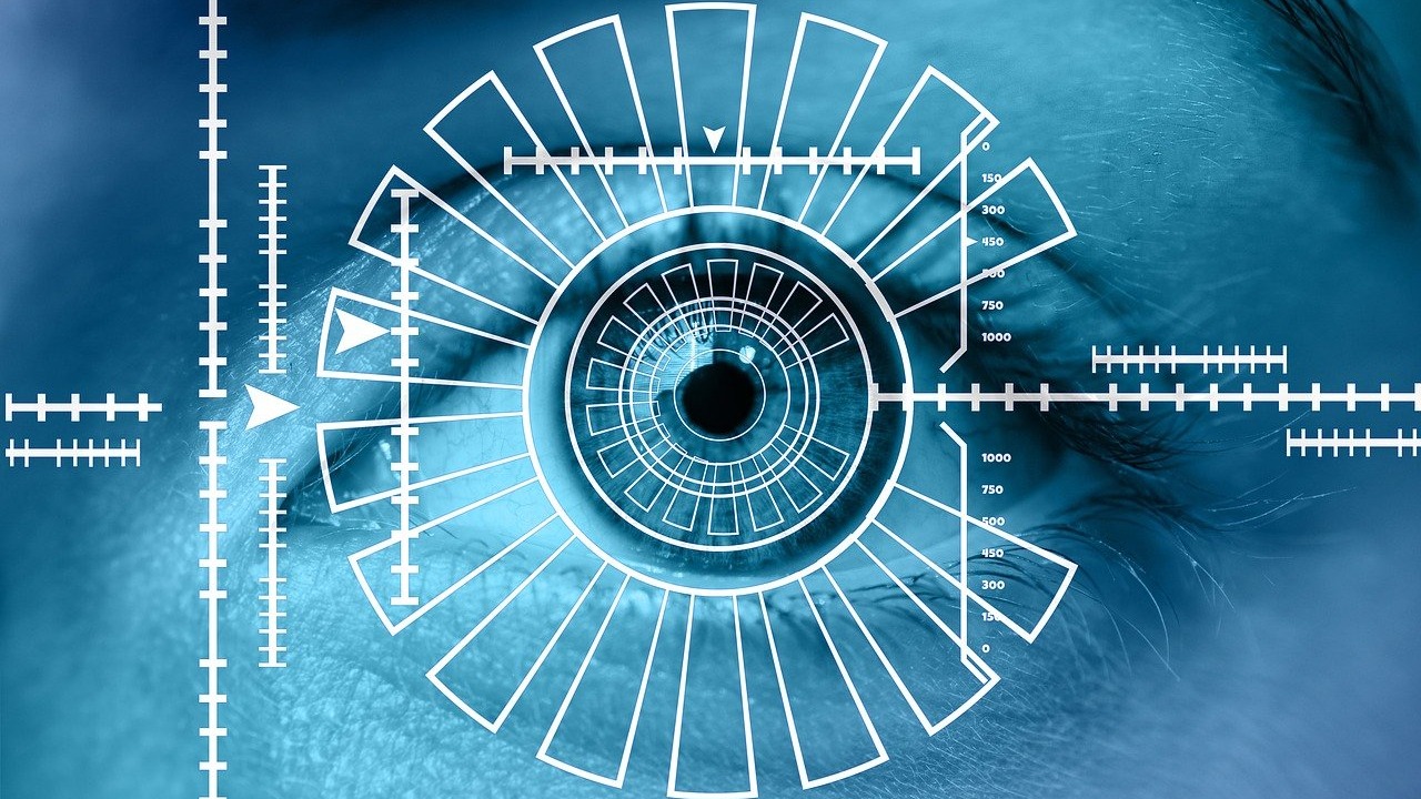 Curp Biometrica - El economista