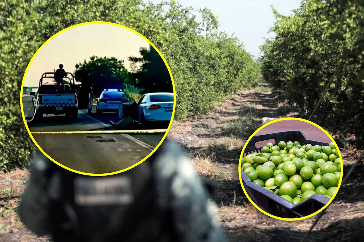 Limones El Imparcial