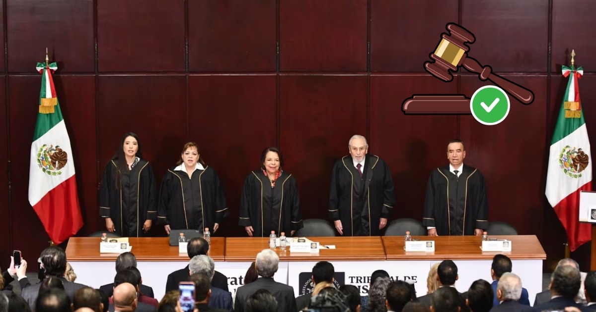 Tribunal de Disciplina polemon
