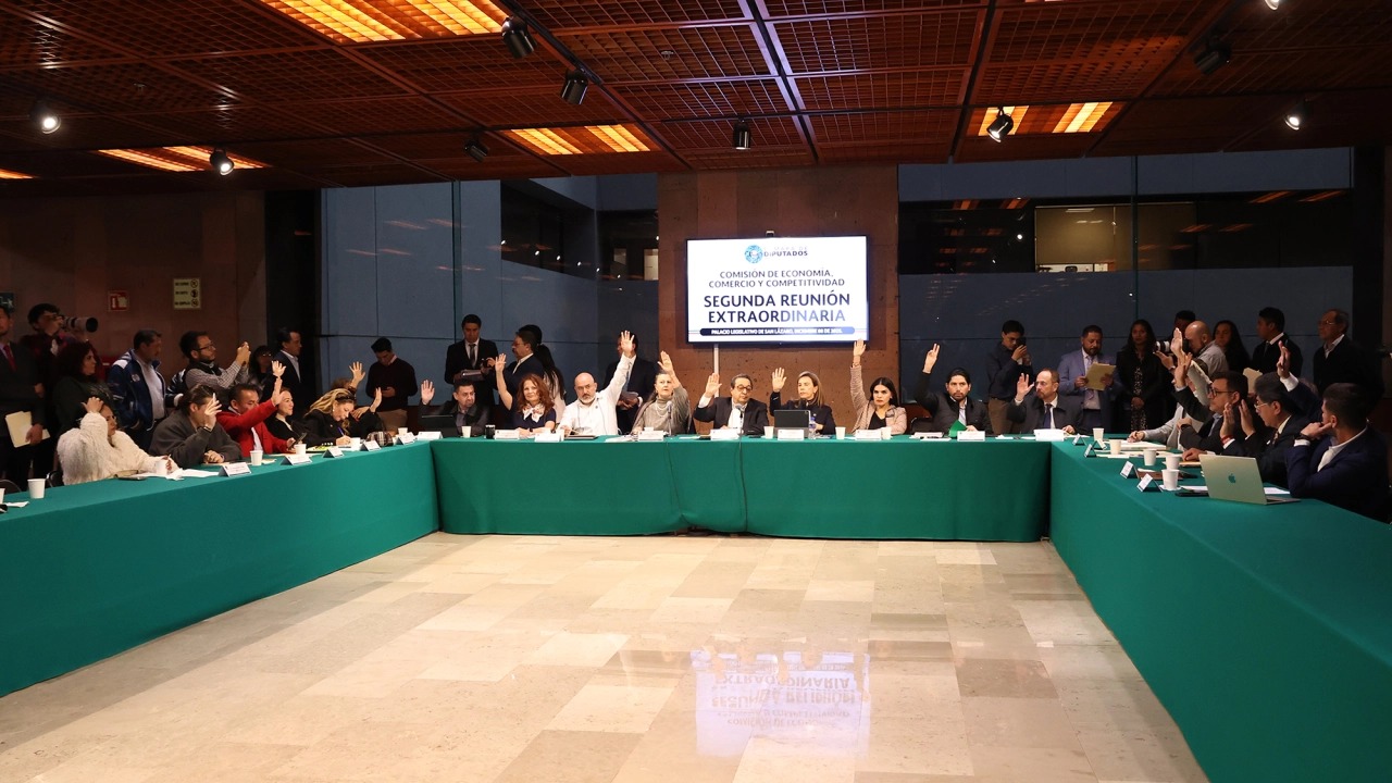 Comision de Economia El economista